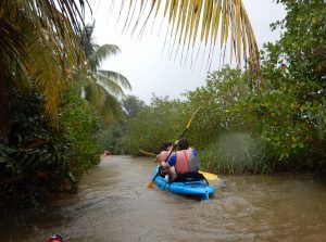 mangrove Kayac 2